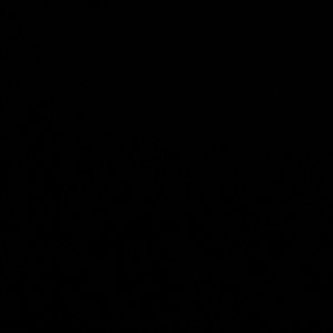 Meet your Posher, Giannie